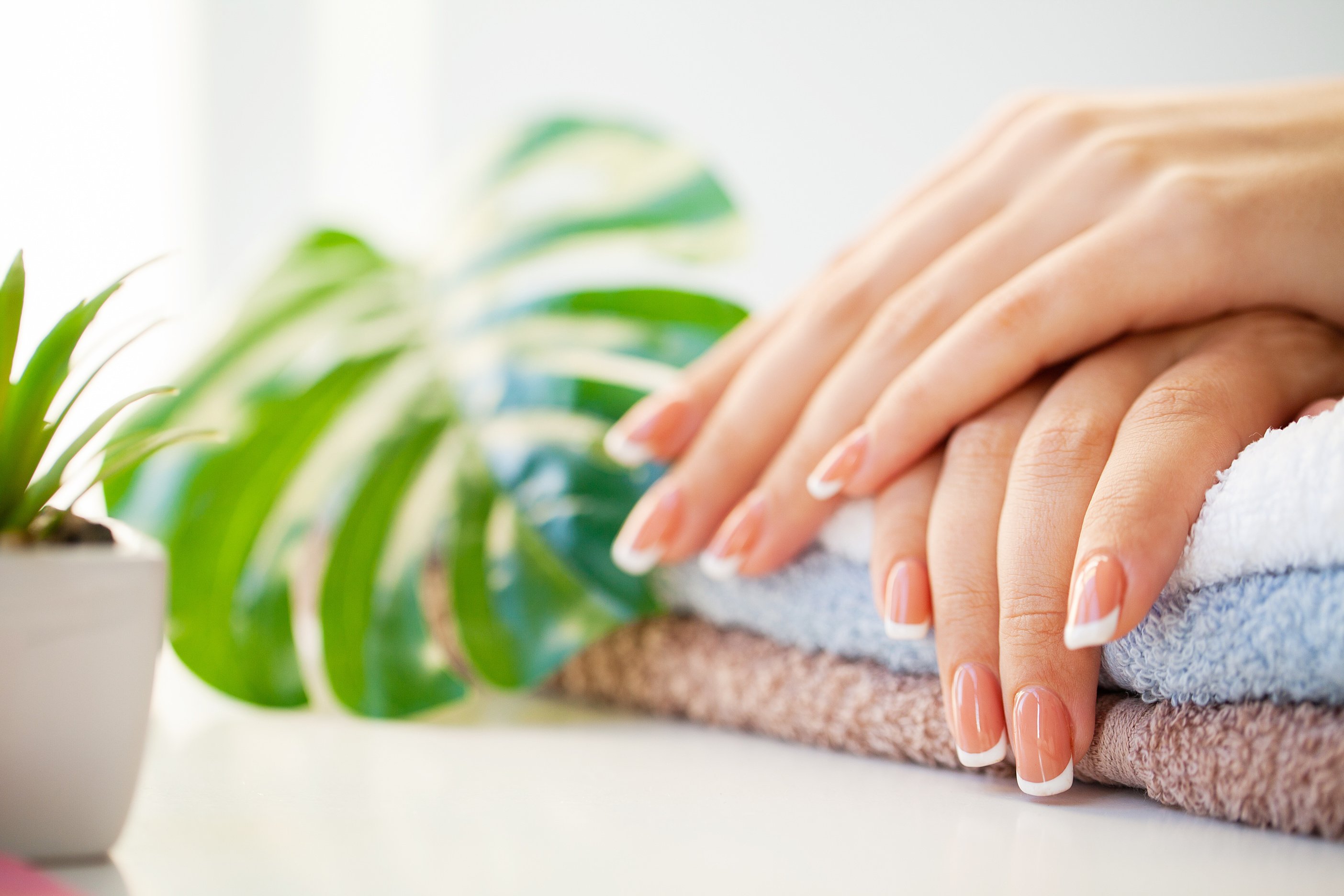 Nails care. Beautiful woman's nails with french manicure, in beauty studio